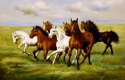 unknow artist, Horses 025